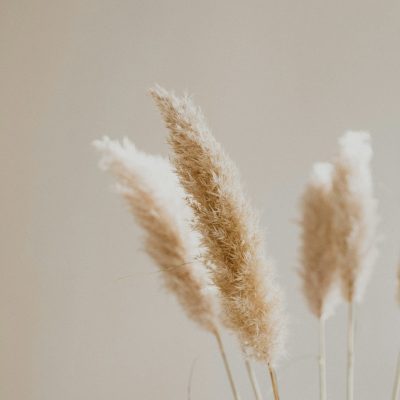 patrick-langwallner-3pR7d-tIRx8-unsplash patrick-langwallner-3pR7d-tIRx8-unsplash